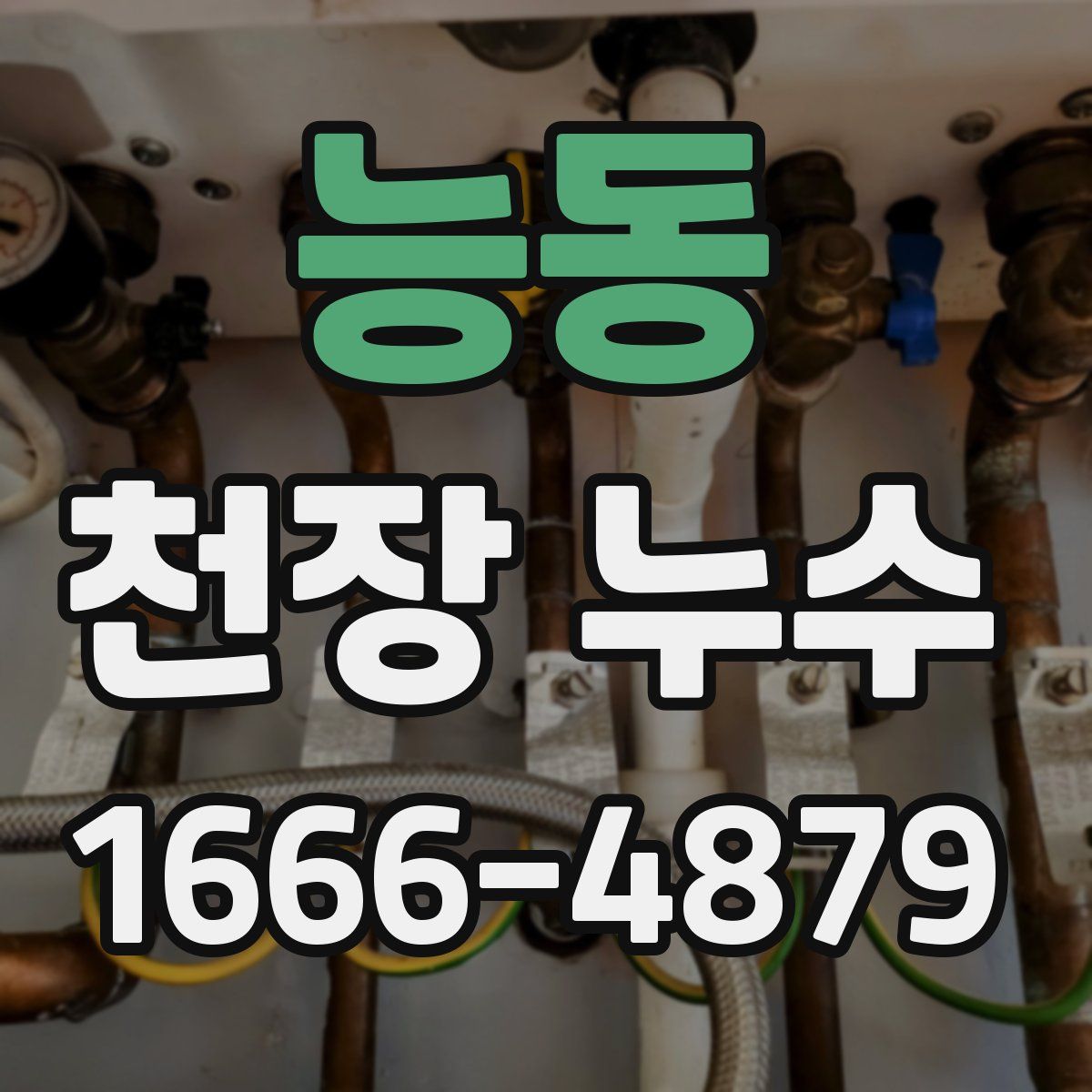 능동 천장 누수