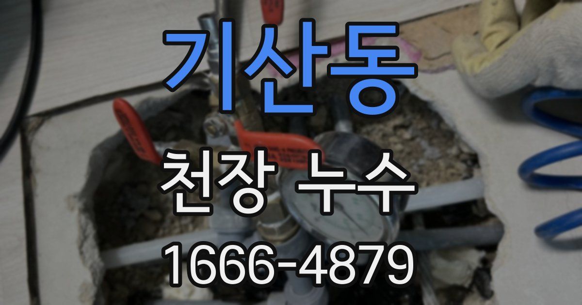 기산동 천장 누수