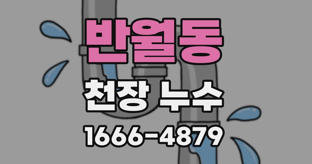 반월동 천장 누수