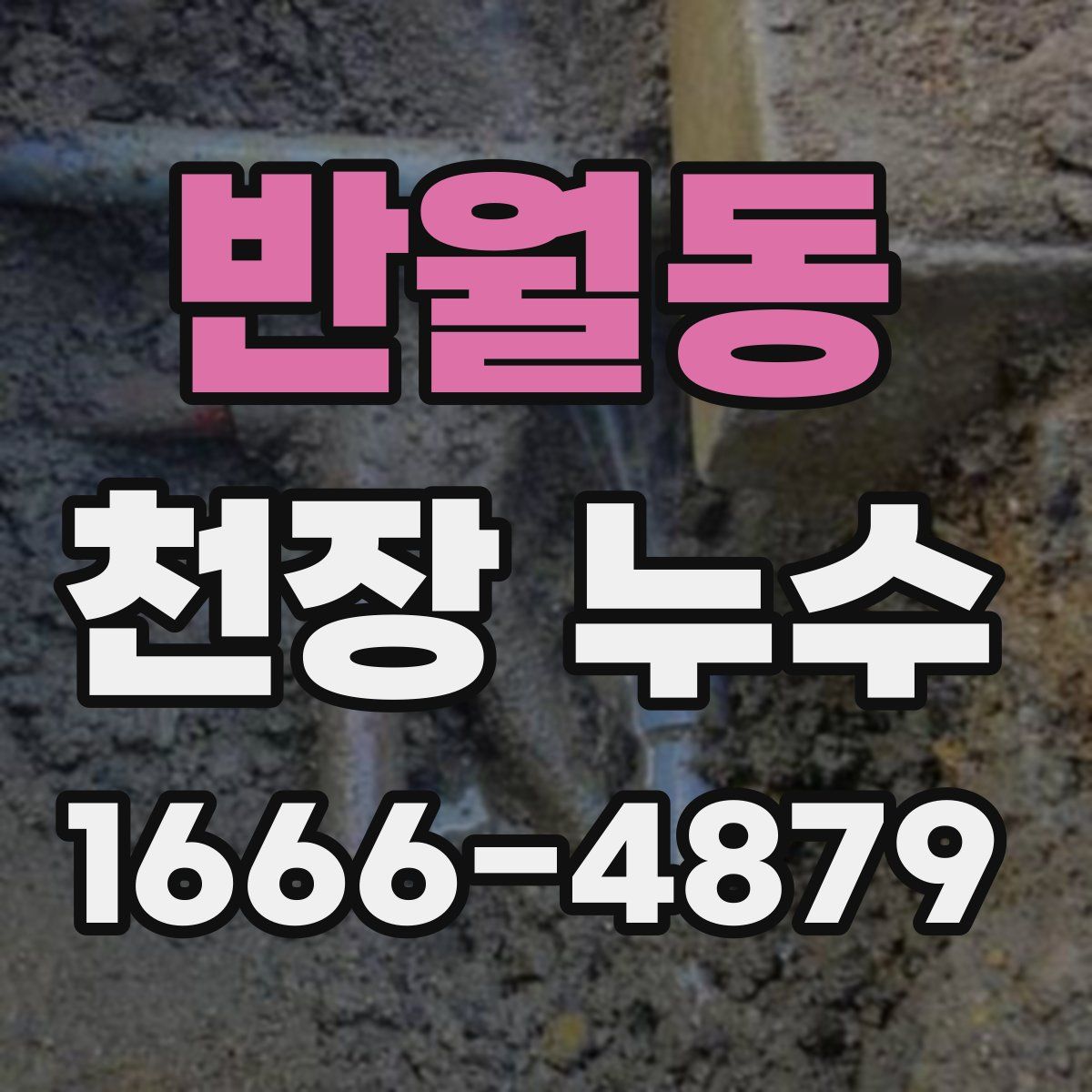 반월동 천장 누수