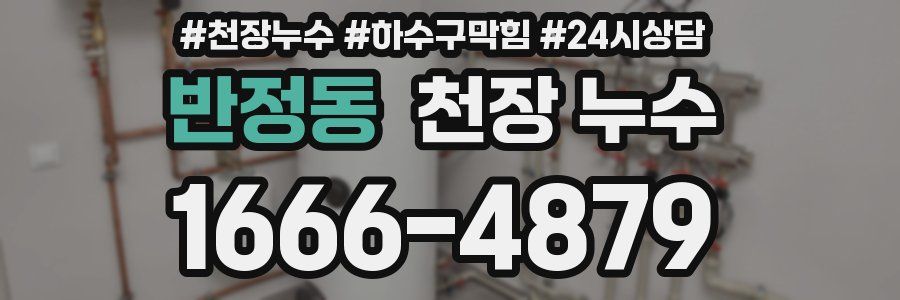 반정동 천장 누수