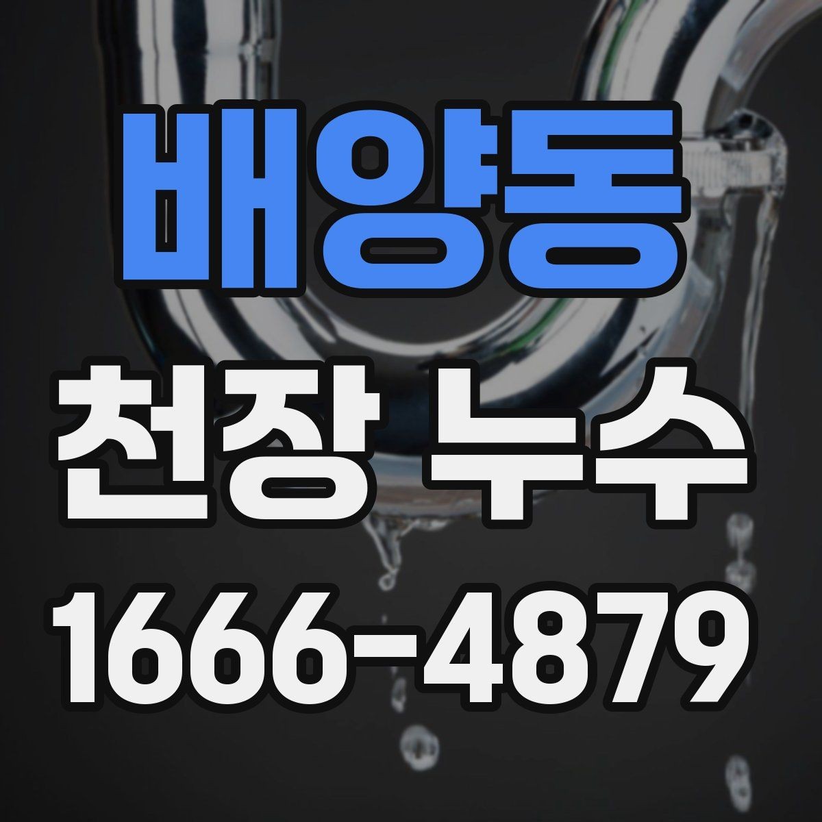 배양동 천장 누수 얼룩이 동그랗게 번지면 확인해야 할 원인