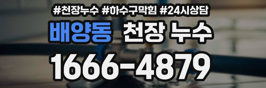 배양동 천장 누수