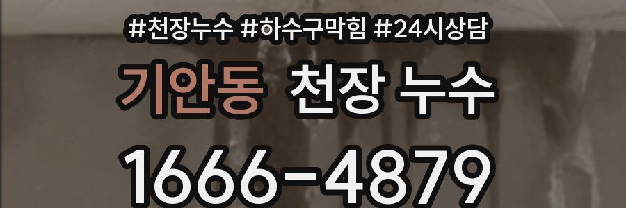 기안동 천장 누수