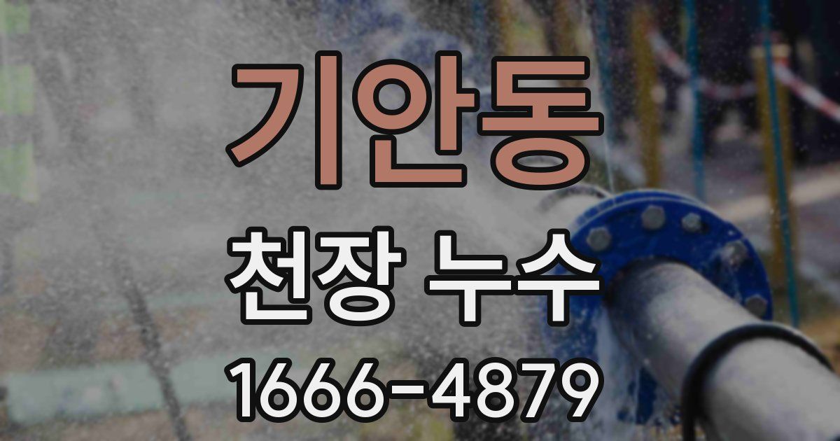 기안동 천장 누수