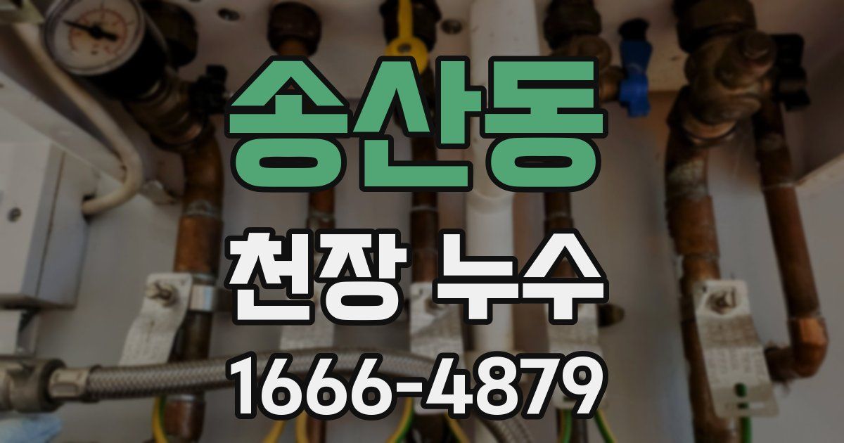 송산동 천장 누수