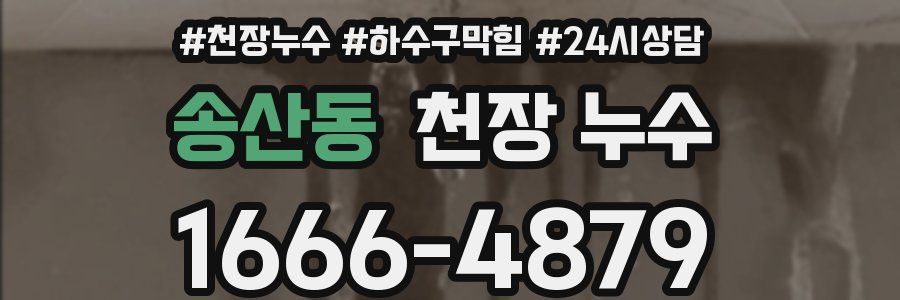 송산동 천장 누수