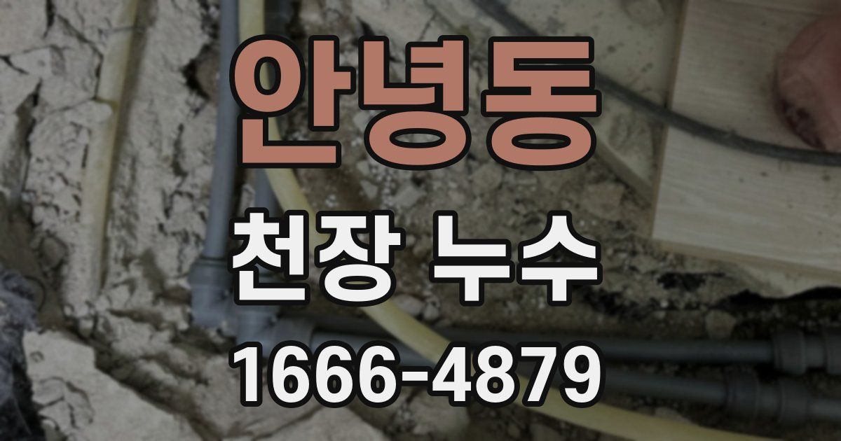 안녕동 천장 누수