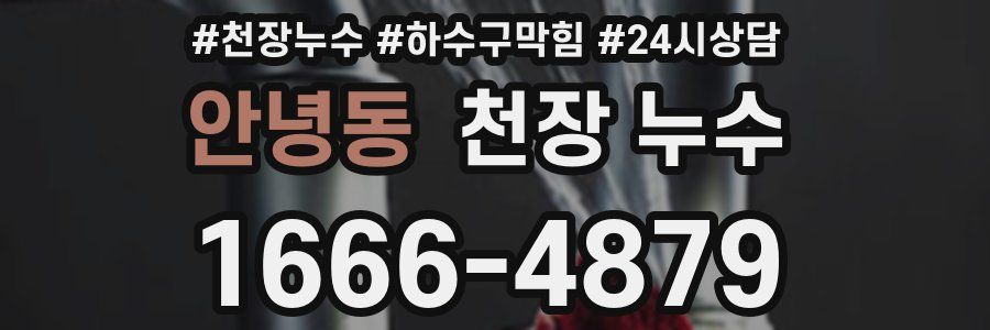 안녕동 천장 누수