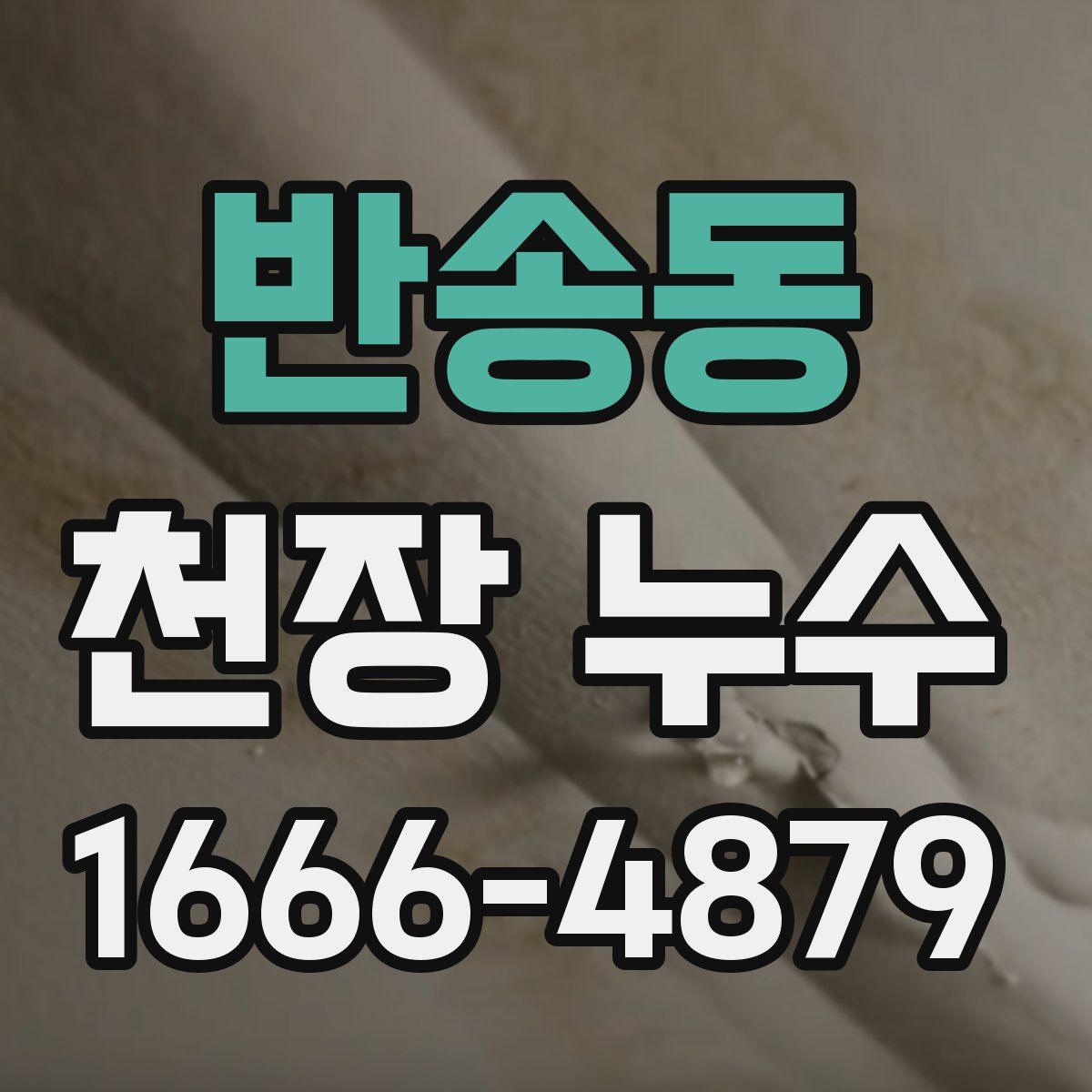 반송동 천장 누수