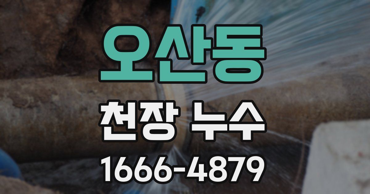 오산동 천장 누수