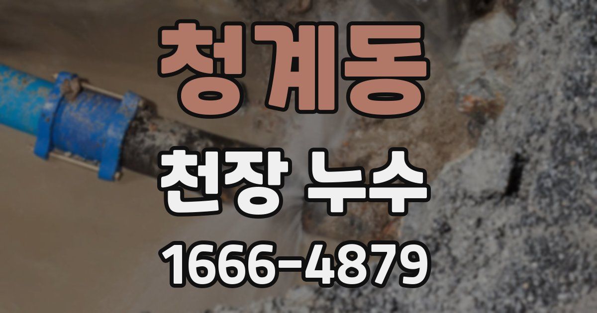 청계동 천장 누수