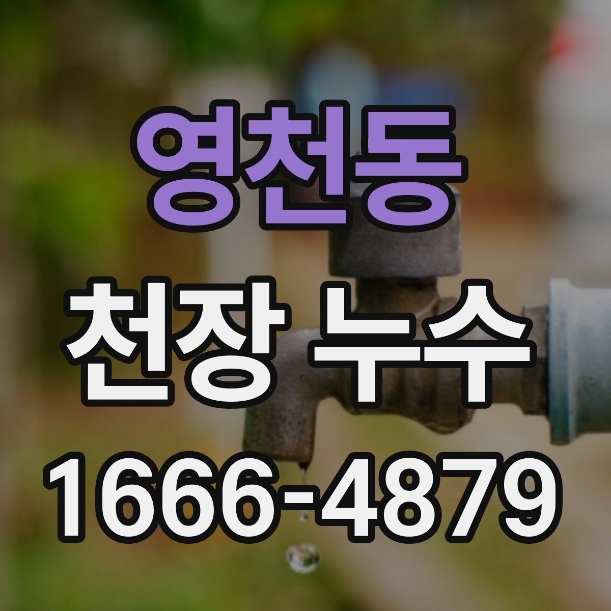 영천동 천장 누수