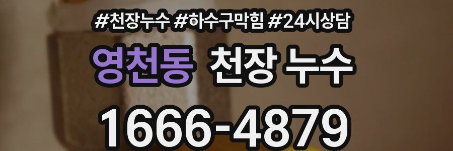 영천동 천장 누수