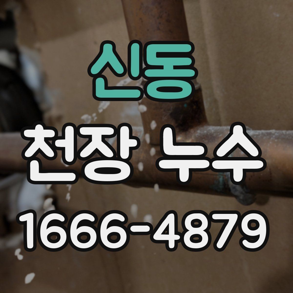 신동 천장 누수 보일러 사용 후 천장에 습기가 느껴진다면