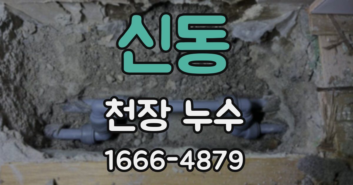 신동 천장 누수