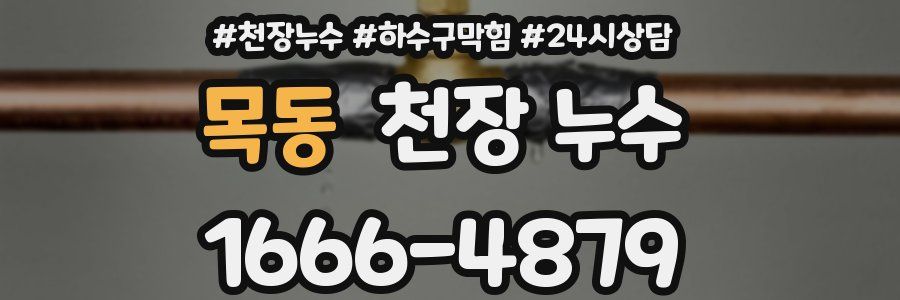 목동 천장 누수