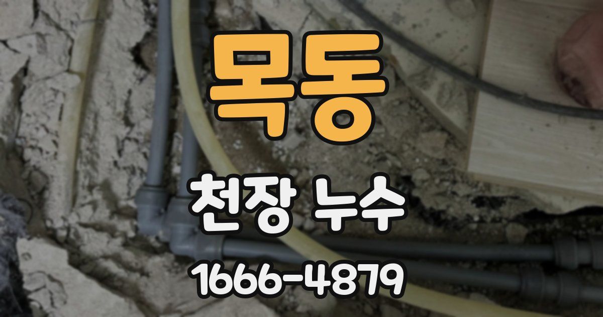 목동 천장 누수