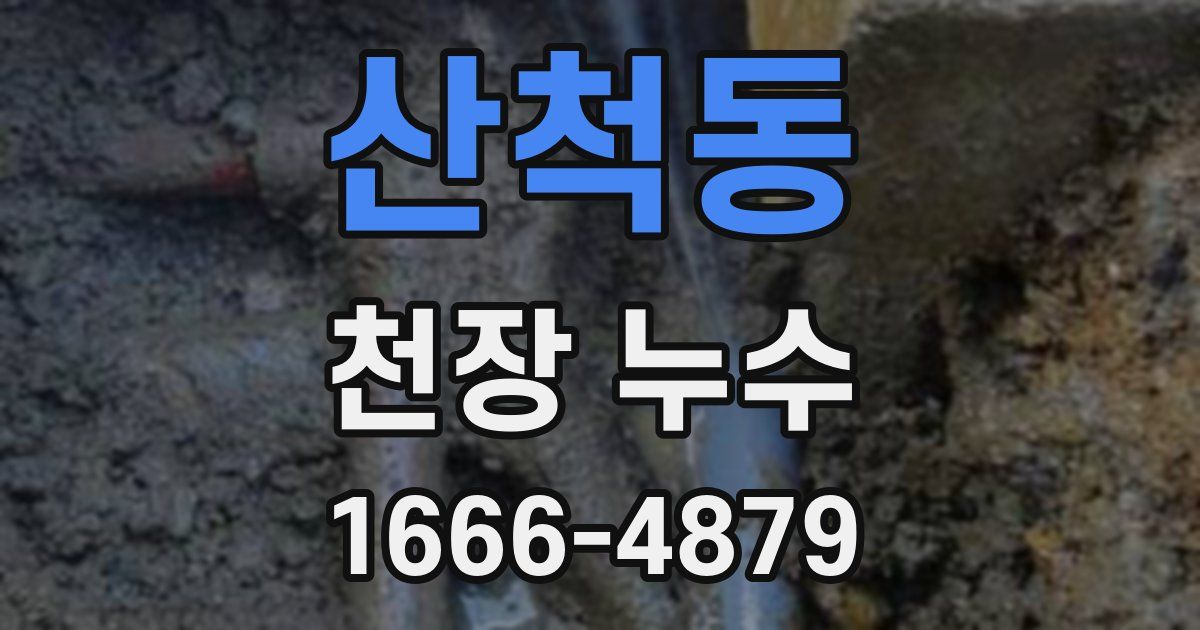 산척동 천장 누수