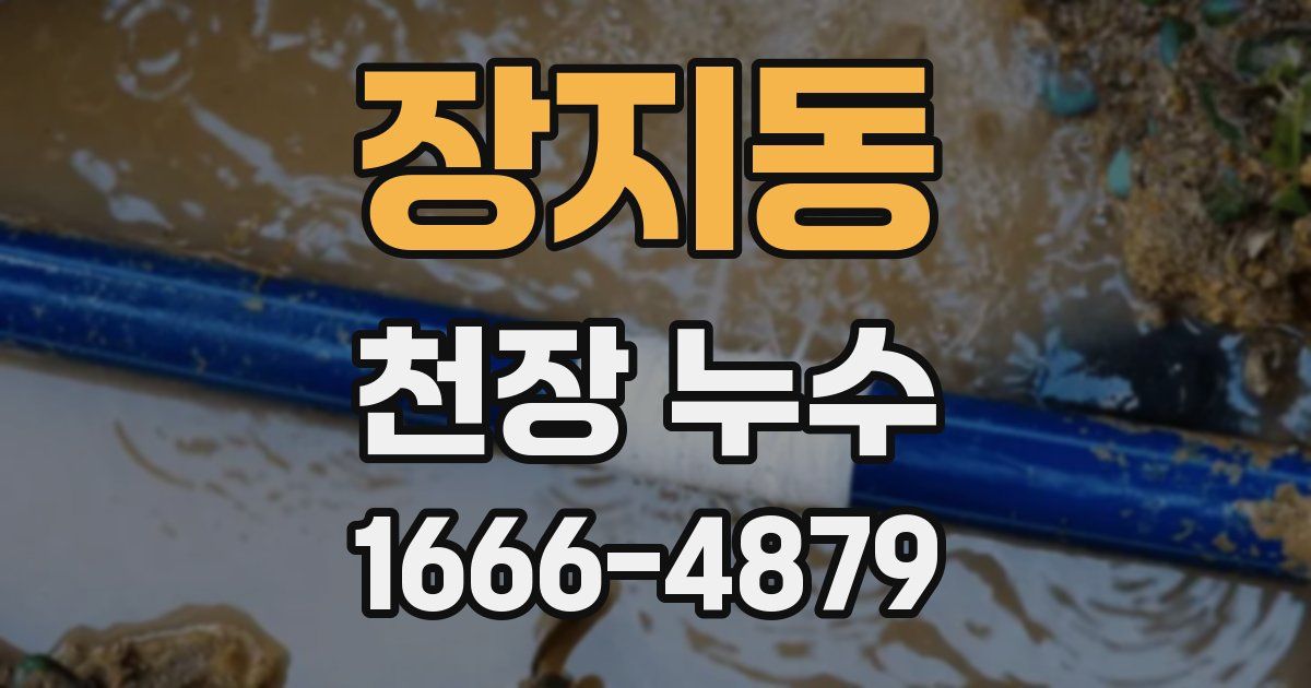 장지동 천장 누수