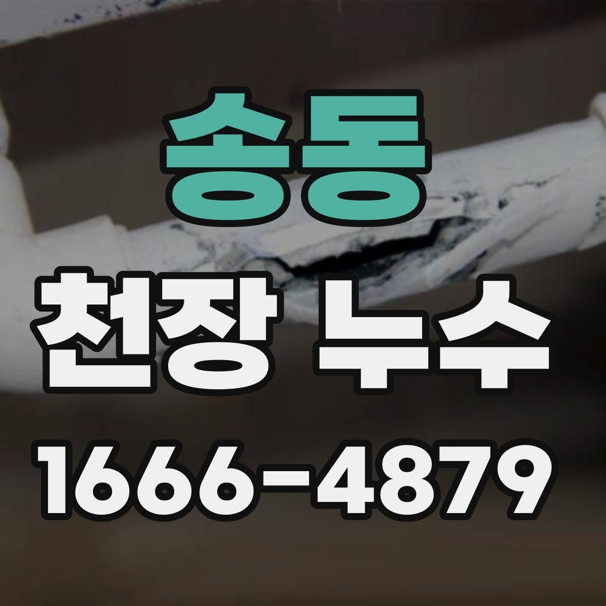 송동 천장 누수 곰팡이 번식 환경이 생기기 전