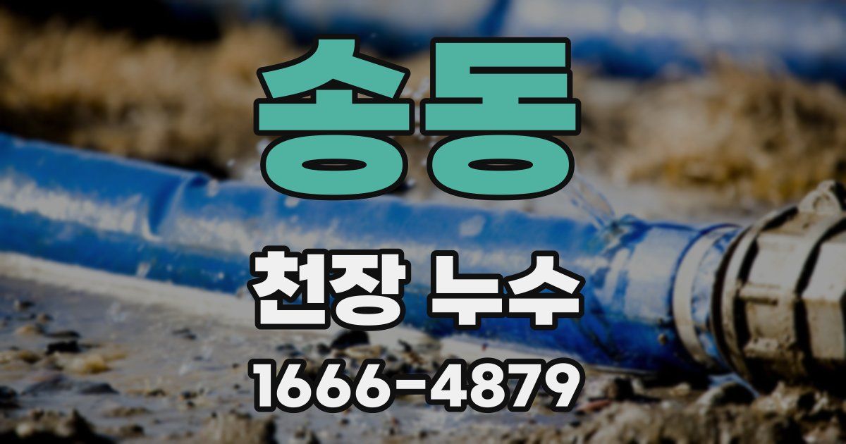 송동 천장 누수