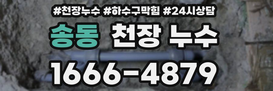 송동 천장 누수