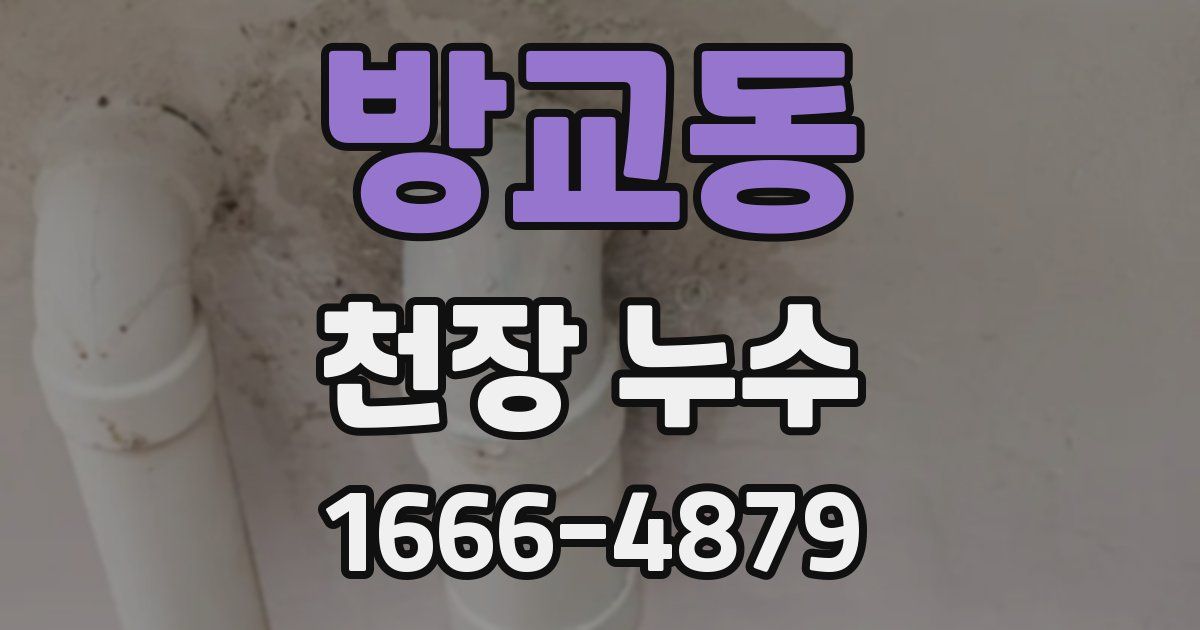 방교동 천장 누수