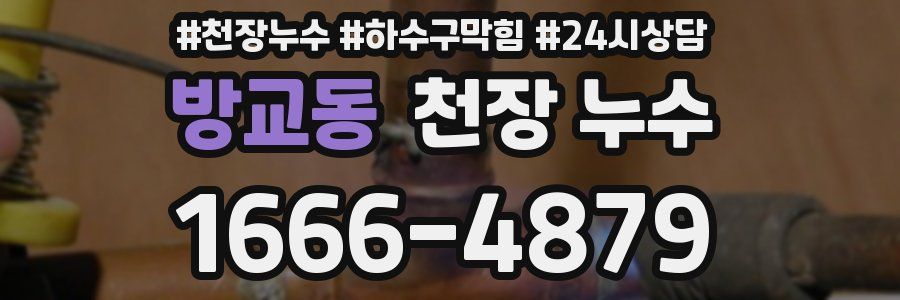 방교동 천장 누수