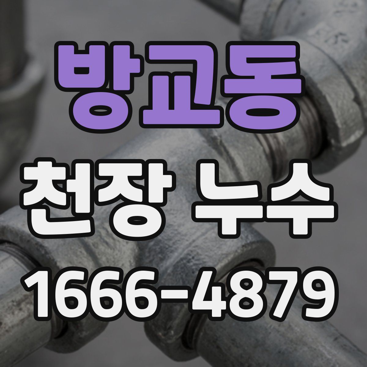 방교동 천장 누수