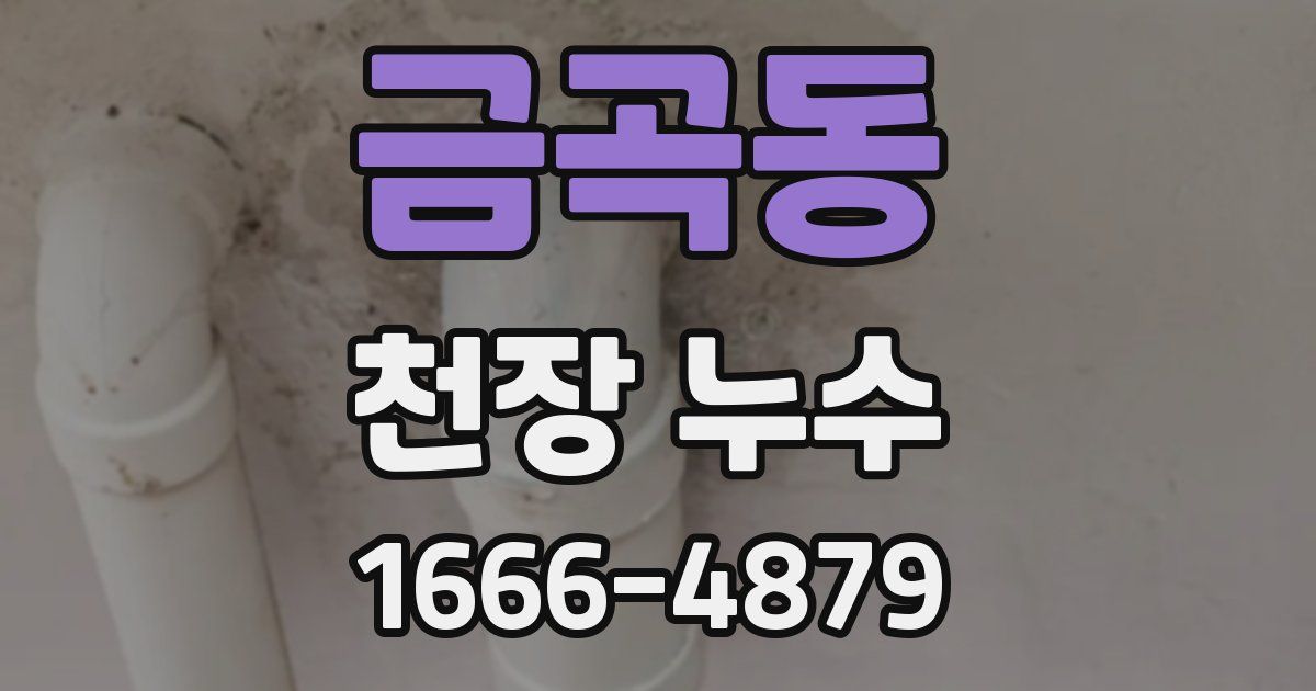 금곡동 천장 누수