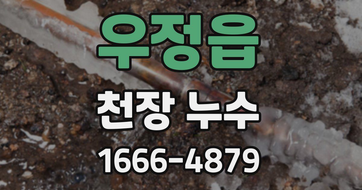 우정읍 천장 누수