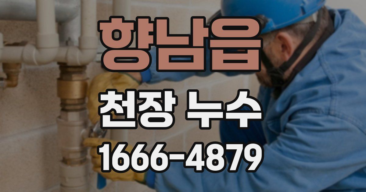 향남읍 천장 누수