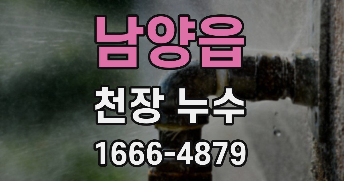 남양읍 천장 누수