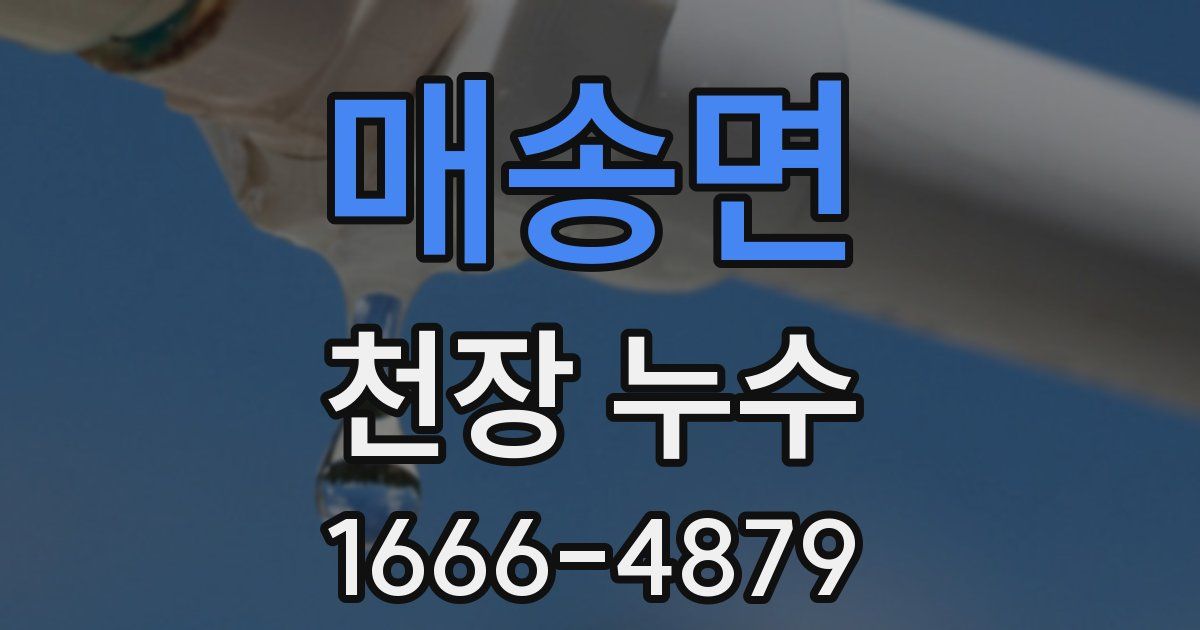 매송면 천장 누수