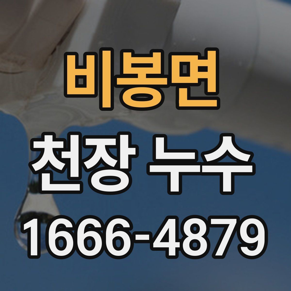 비봉면 천장 누수 바닥까지 피해가 번질 때