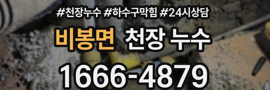 비봉면 천장 누수