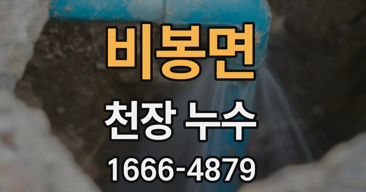 비봉면 천장 누수