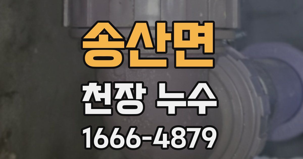 송산면 천장 누수