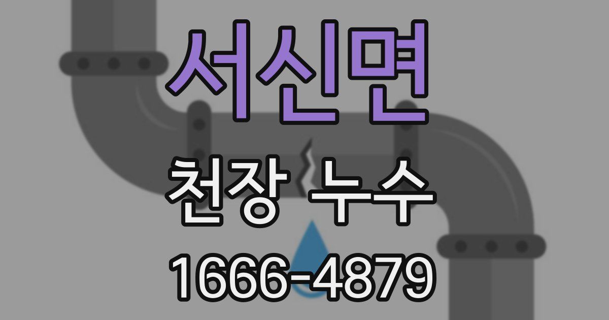 서신면 천장 누수