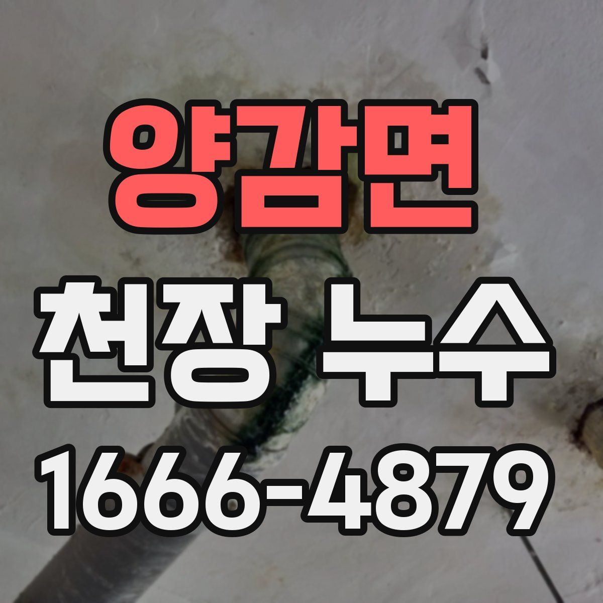 양감면 천장 누수