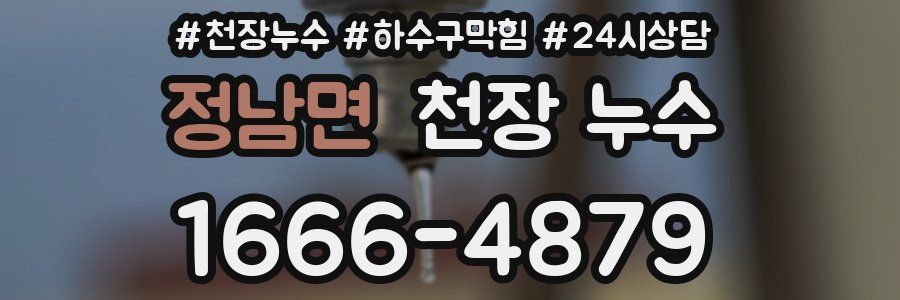 정남면 천장 누수