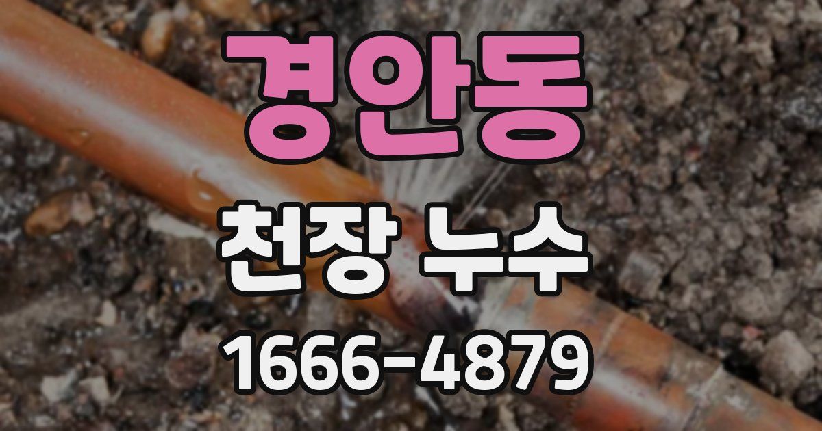 경안동 천장 누수