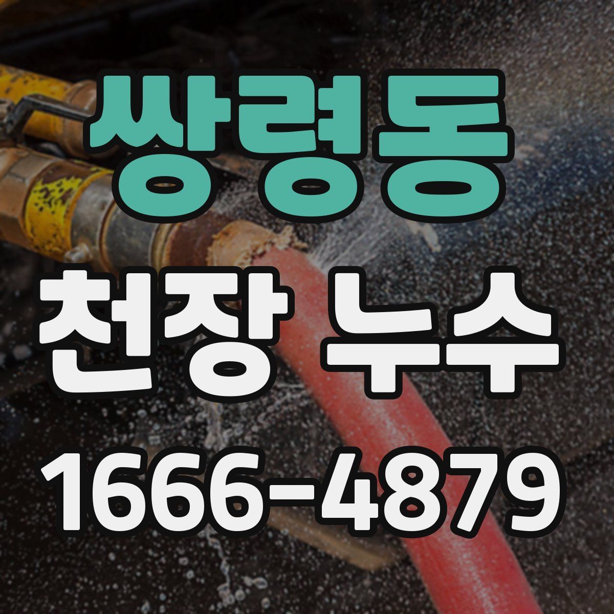 쌍령동 천장 누수