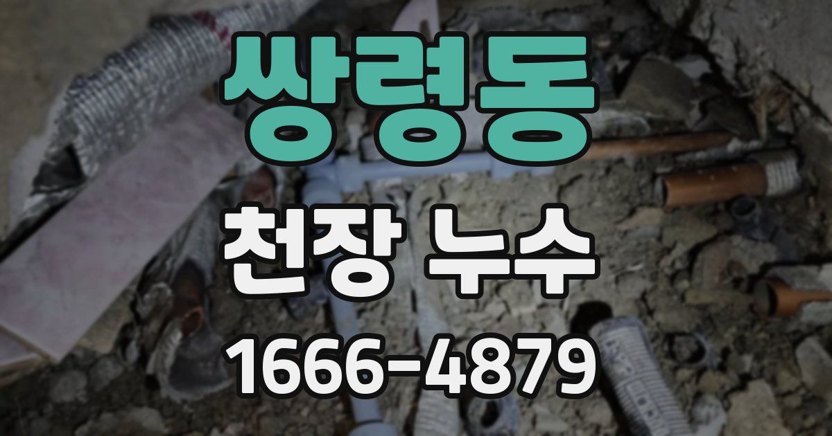 쌍령동 천장 누수