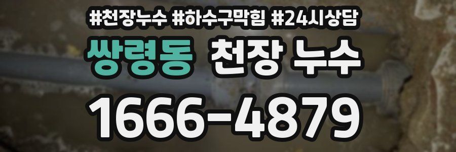 쌍령동 천장 누수