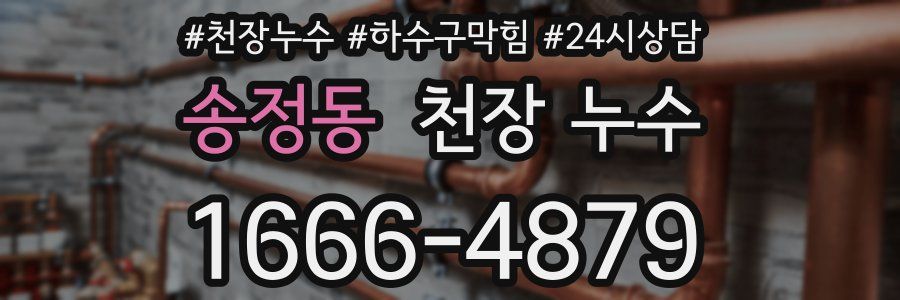 송정동 천장 누수