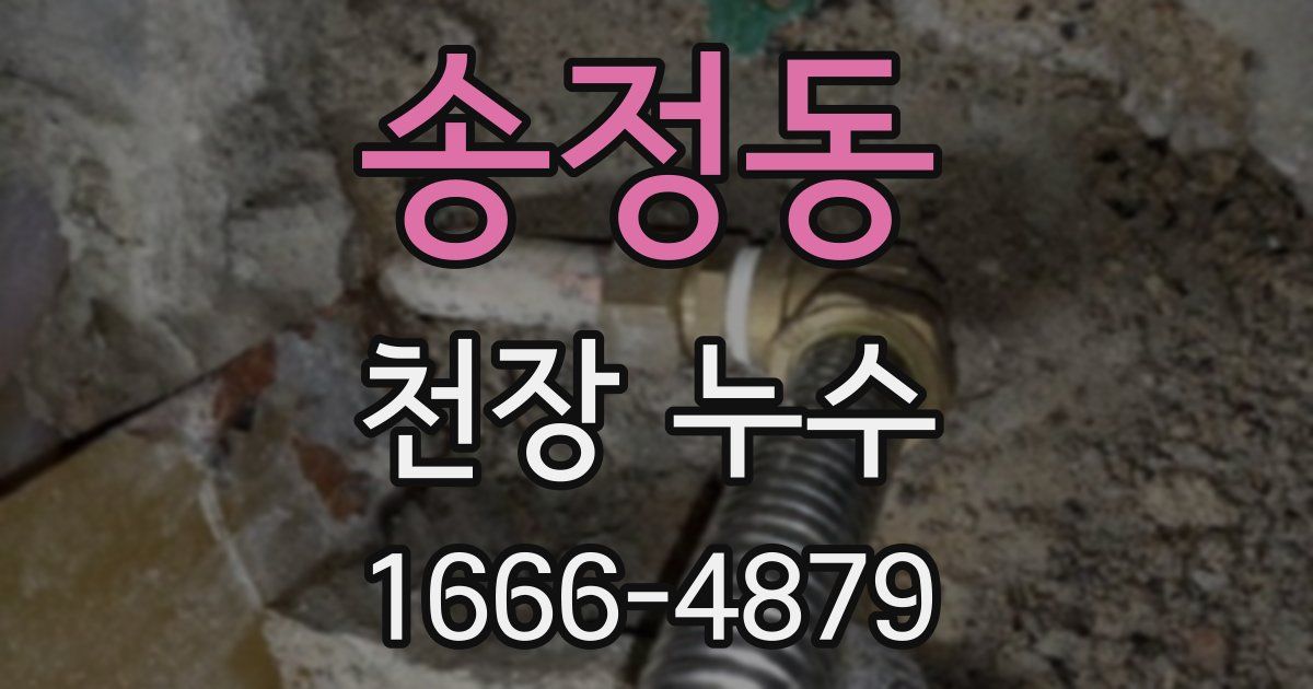 송정동 천장 누수