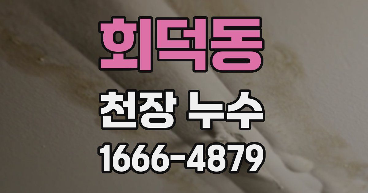 회덕동 천장 누수