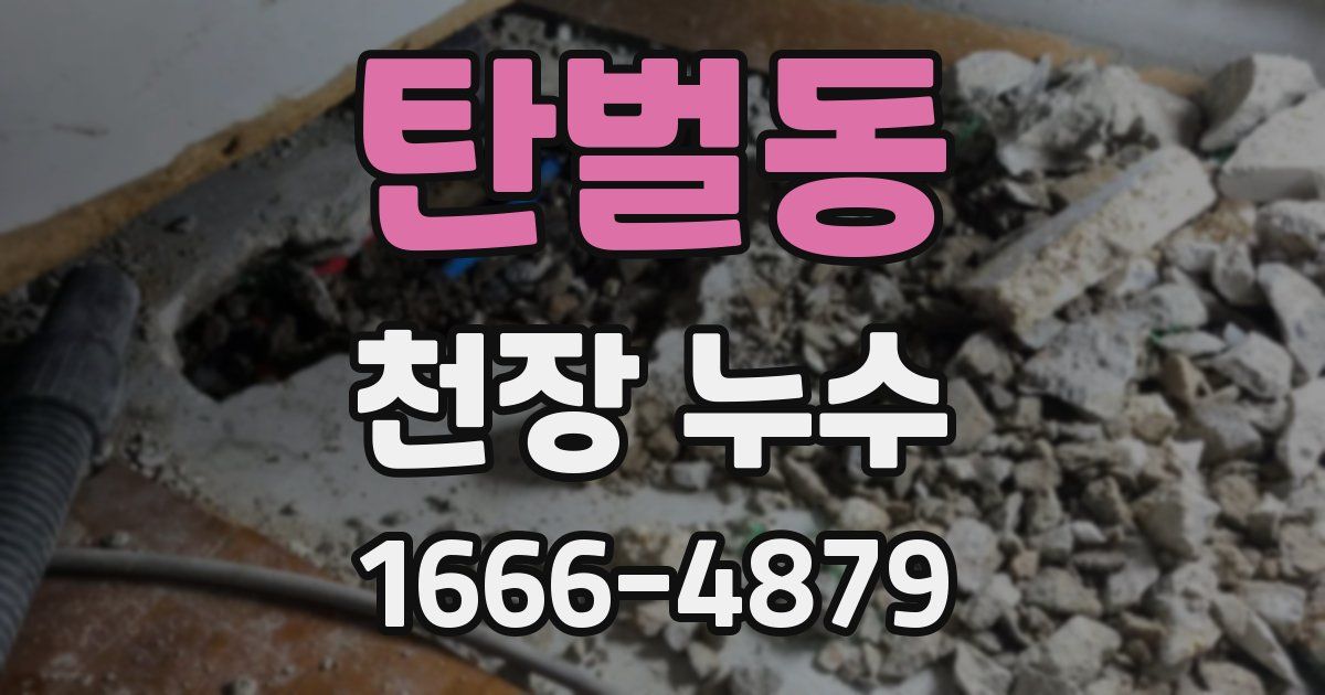 탄벌동 천장 누수